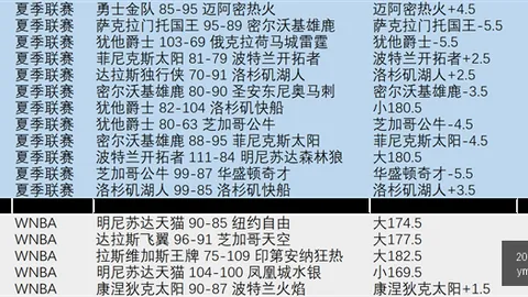 2026必访东南锦越南美食夜市，独家体验指南